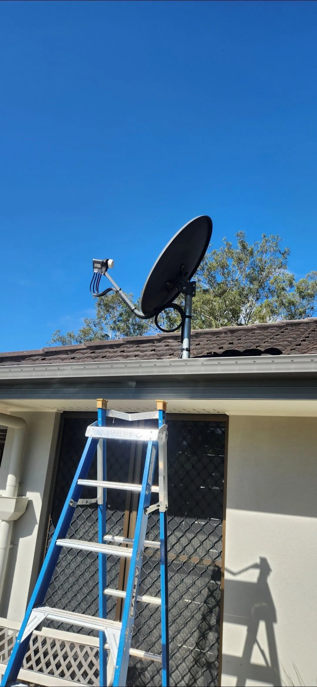 A satellite dish on top of a green roof